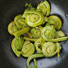 Load image into Gallery viewer, Pacific Wild Frozen Fiddleheads - Pacific Wild Pick