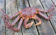Load image into Gallery viewer, Patagonia King Crab - Next Day Shipping - Pacific Wild Pick
