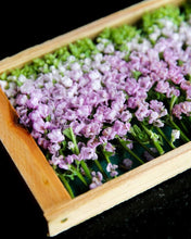 Load image into Gallery viewer, Perilla Blossoms - Hana Hojiso - Pacific Wild Pick