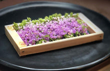 Load image into Gallery viewer, Perilla Blossoms - Hana Hojiso - Pacific Wild Pick