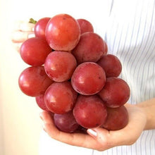 Load image into Gallery viewer, Ruby Roman Grapes - Pacific Wild Pick