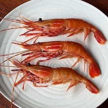 Load image into Gallery viewer, Whole Spot Prawns.