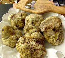 Load image into Gallery viewer, White alba truffle pacific wild pick