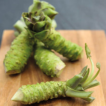 Load image into Gallery viewer, Real Fresh Wasabi Root.