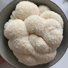 Load image into Gallery viewer, local organic mushroom