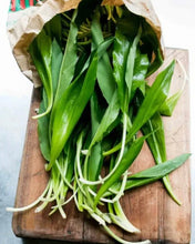 Load image into Gallery viewer, Wild Ramps - Next Day Shipping - Pacific Wild Pick