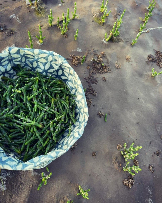 3 reasons to try Sea Beans