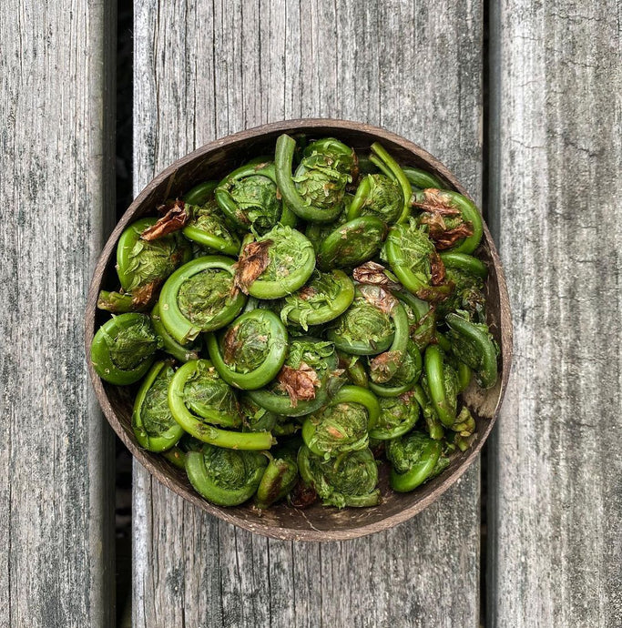 Pacific Wild Pick Fiddleheads