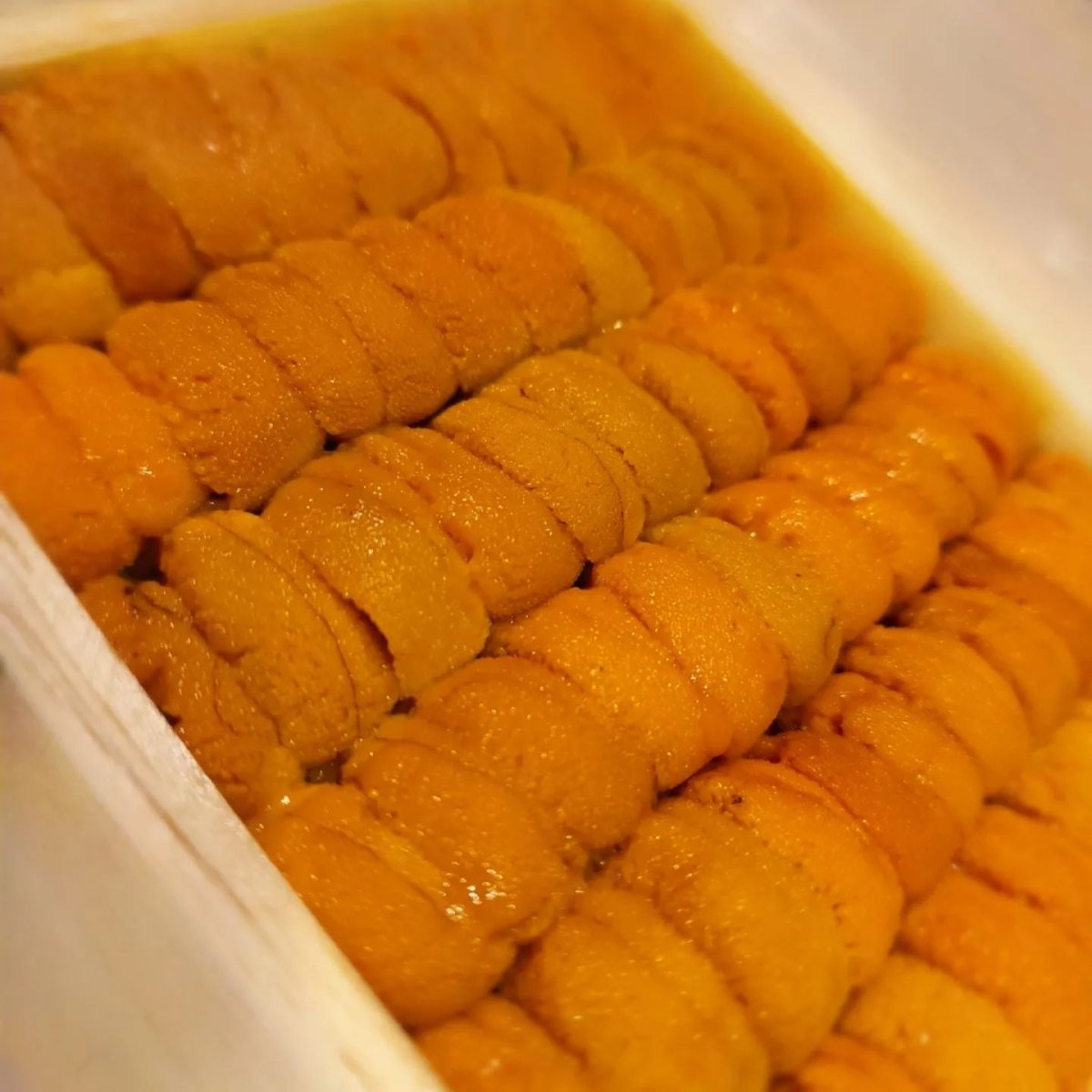 A Taste of the Sea: Japanese Sea Urchin Roe and BC Purple Sea Urchin ...