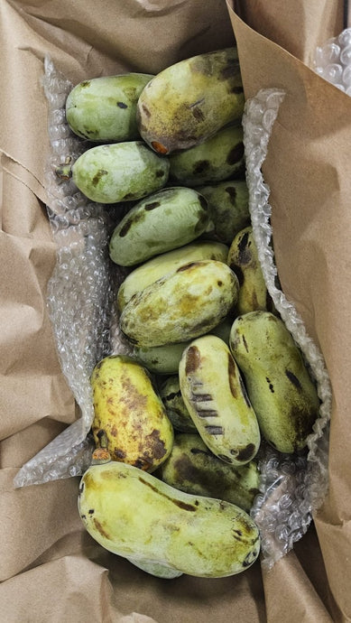 🍃 Are My Pawpaws Rotten or Just Ripe? A Guide for First-Time Buyers