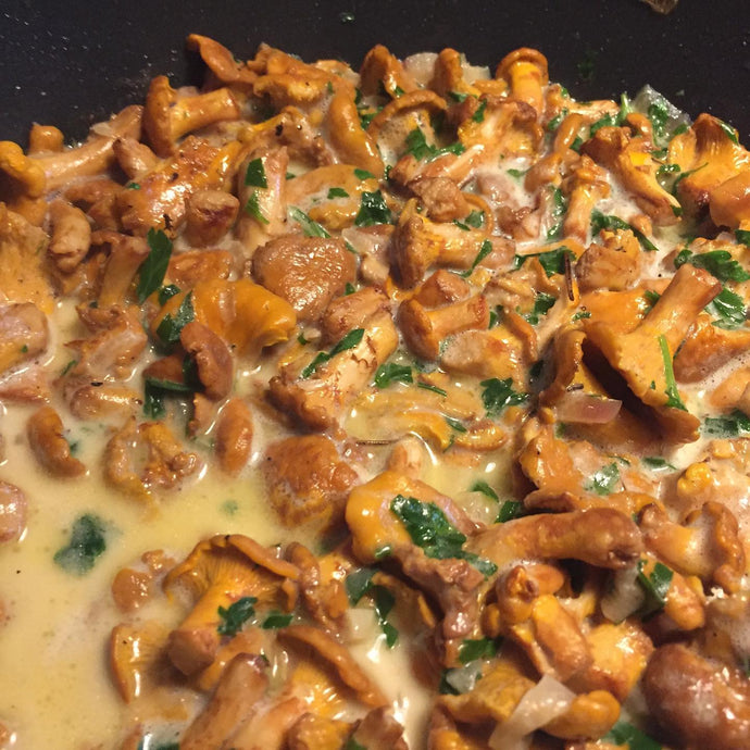 Our absolute FAVE chanterelle mushroom recipe