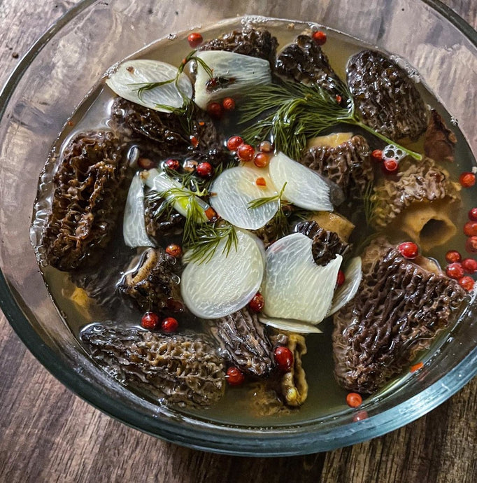 From Morel Mushrooms to Master Chef: A Guide for Cooking Newbies