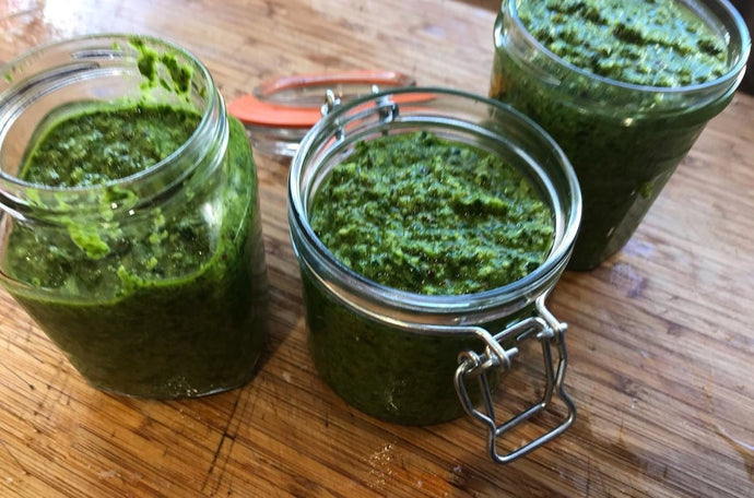 Making Delicious and Healthy Wild Ramps and Cashew Pesto