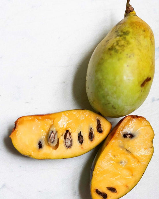 Paw Paw Fruit Benefits: Discover Nature’s Hidden Superfood for a Healthier You