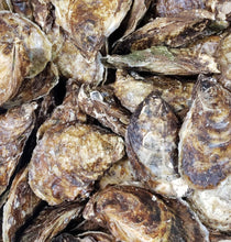 Load image into Gallery viewer, Acadian Pearl Oyster - Pacific Wild Pick
