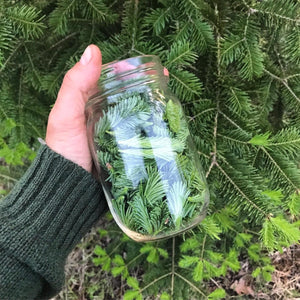 Balsam Fir Syrup - Pacific Wild Pick