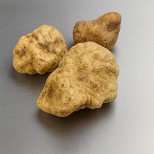 Fresh Alba White Truffle (Tuber Magnatum Pico) - Pacific Wild Pick