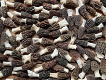 Load image into Gallery viewer, Fresh Himaleyan Morels 2025 - Pacific Wild Pick
