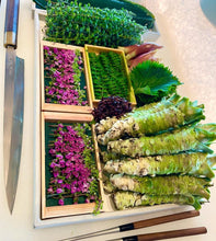 Load image into Gallery viewer, Fresh japan ingredients - Home delivery - Pacific Wild Pick
