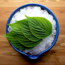 Load image into Gallery viewer, Fresh japan ingredients - Home delivery - Pacific Wild Pick
