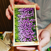 Load image into Gallery viewer, Fresh japan ingredients - Home delivery - Pacific Wild Pick
