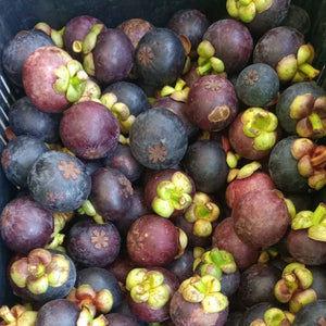 Fresh Purple Mangosteens - Pacific Wild Pick