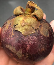 Load image into Gallery viewer, Fresh Purple Mangosteens - Pacific Wild Pick

