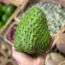 Load image into Gallery viewer, Fresh Soursop Exotic Fruit - Pacific Wild Pick
