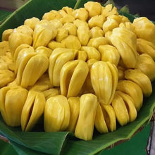 Load image into Gallery viewer, Fresh whole Jackfruit - Pacific Wild Pick
