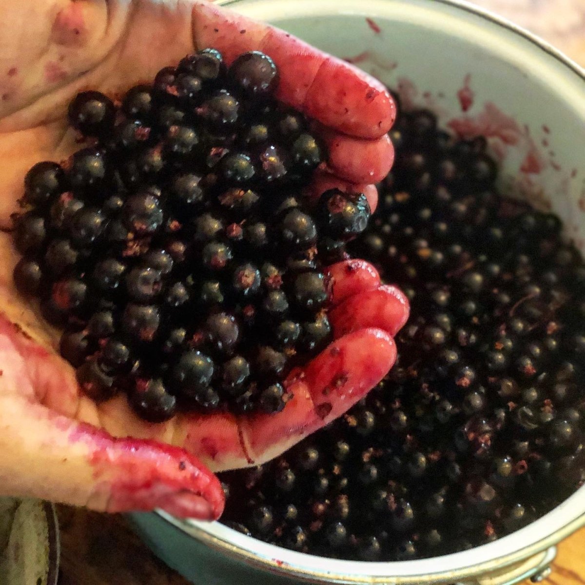 Organic Black Currants 9 Lbs - Flash Frozen Antioxidant Fruit For Smoothies & Baking
