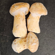 Load image into Gallery viewer, Frozen High Grade Matsutake - Pacific Wild Pick
