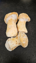 Load image into Gallery viewer, Frozen High Grade Matsutake - Pacific Wild Pick
