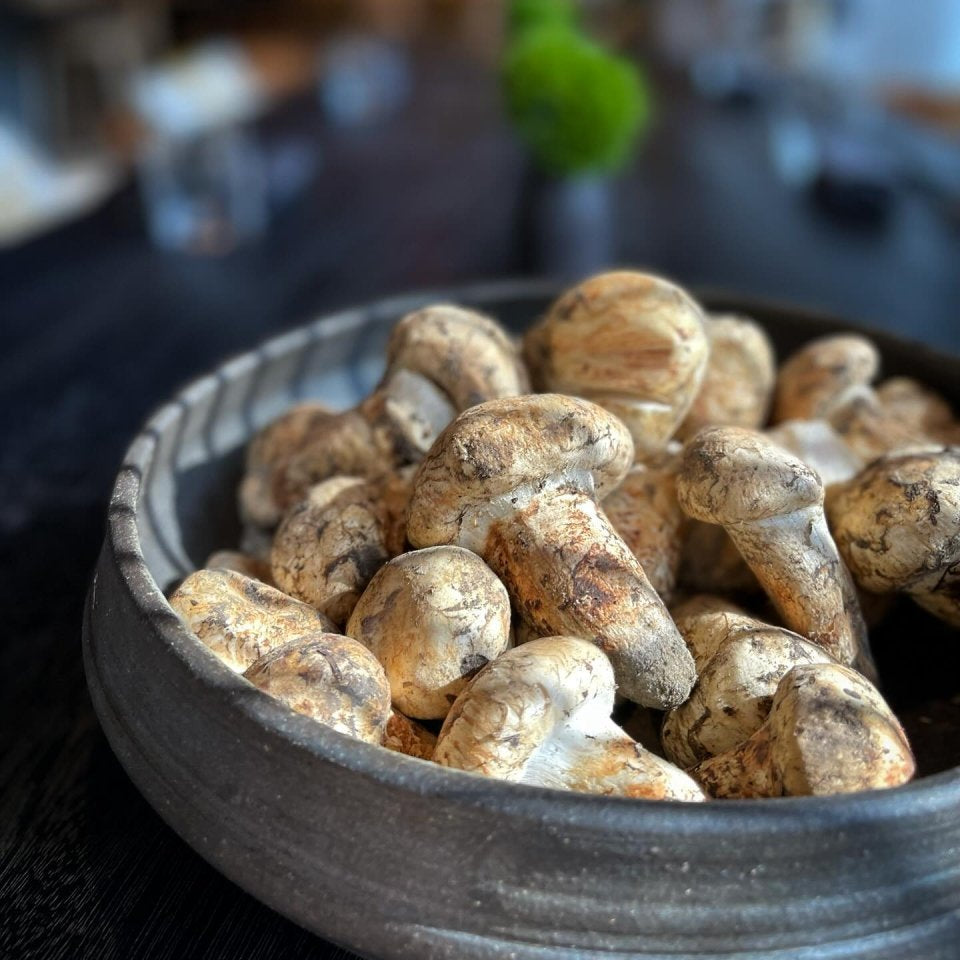 Frozen High Grade Matsutake - Pacific Wild Pick
