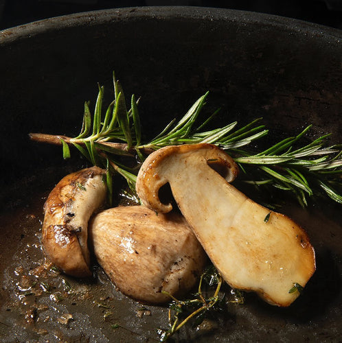 Frozen Porcini mushroom - Pacific Wild Pick