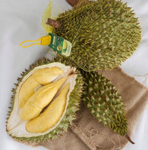 Load image into Gallery viewer, Frozen Ri6 &amp; Monthong Durian Pulp – King of Fruits - Pacific Wild Pick

