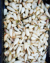 Load image into Gallery viewer, FROZEN Wild Leeks - Ramps Ail Des Bois - Pacific Wild Pick
