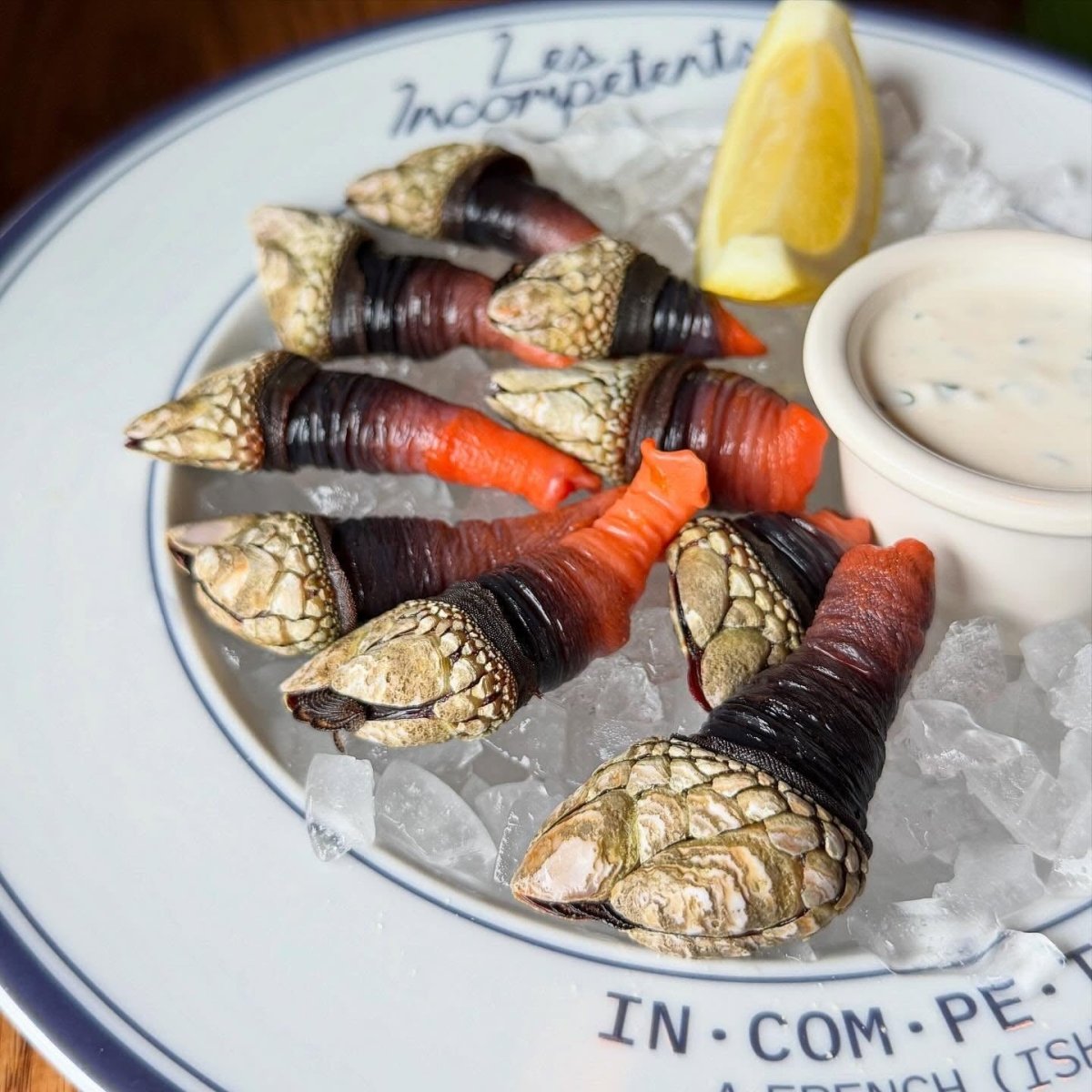 Gooseneck Barnacles -Percebes FRESH | Pacific Wild Pick
