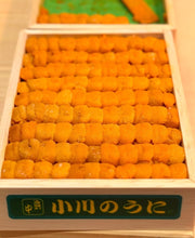 Load image into Gallery viewer, Hamanaka Premium Bafun Narabi Uni 浜中養殖雲丹 - Pacific Wild Pick
