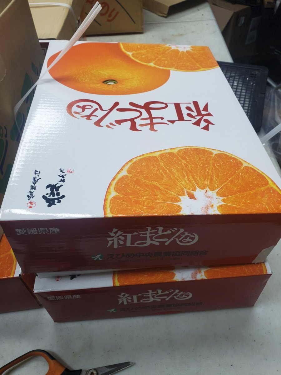 Ehime Mikan Gift Box - Pacific Wild Pick