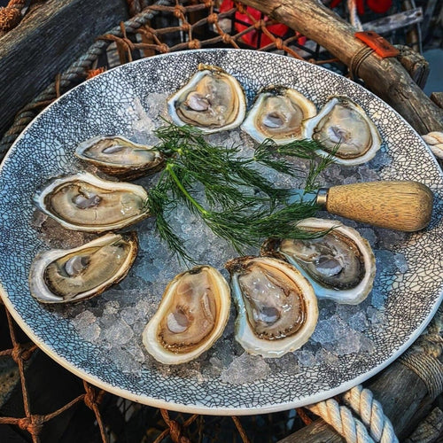 Irish Point Oysters - In Shell - Pacific Wild Pick