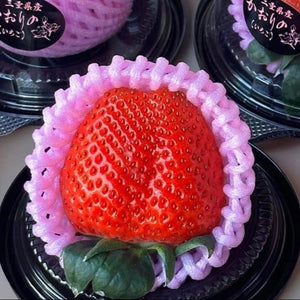 Japan Nara Strawberry - Pacific Wild Pick