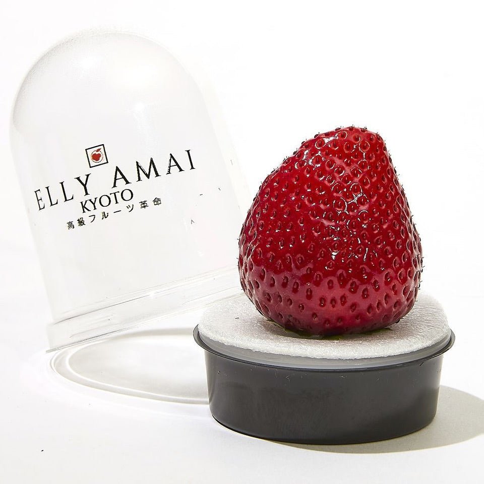  WILD STRAWBERRY 超美品 WILD STRAWBERRY SOUR GUMMY 10.6oz – Martin's Country Store