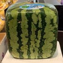 Load image into Gallery viewer, Japan Square Watermelon Gift Box - Reserve Only - Pacific Wild Pick
