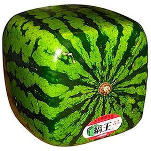 Japan Square Watermelon Gift Box - Reserve Only - Pacific Wild Pick