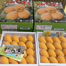 Load image into Gallery viewer, Japanese Loquat Gift Box - Pacific Wild Pick
