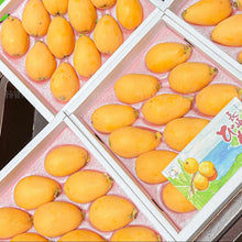 Load image into Gallery viewer, Japanese Loquat Gift Box - Pacific Wild Pick
