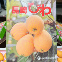 Load image into Gallery viewer, Japanese Loquat Gift Box - Pacific Wild Pick
