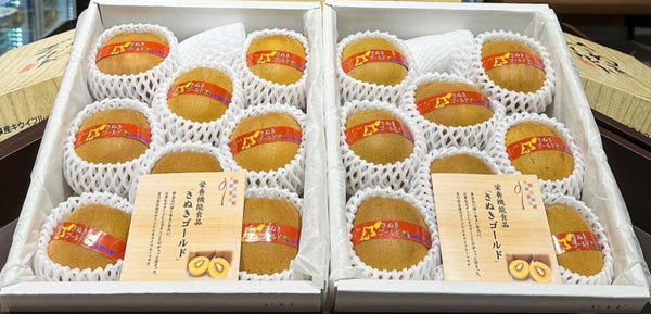 japanese-sanuki-kiwi-gift-box-
