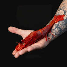 Load image into Gallery viewer, Jumbo Red Scarlet Shrimp - Pacific Wild Pick
