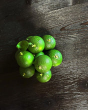 Load image into Gallery viewer, Kabosu Fruit 種無しカボス - Pacific Wild Pick
